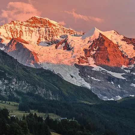 Inn Berghaus Wengen