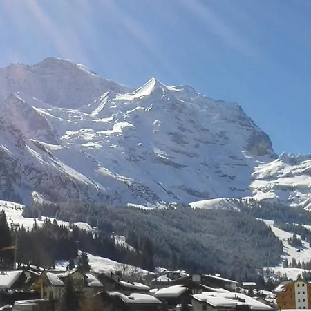 Berghaus 3* Wengen