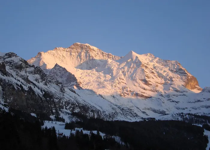 Mini-hôtel Berghaus